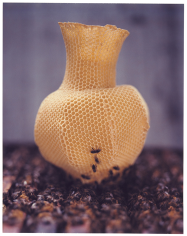 Пчелиные вазочки
