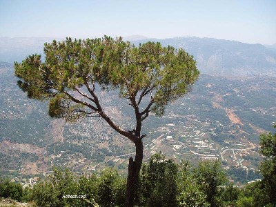 View from Mar Charbel, a beautiful countryside