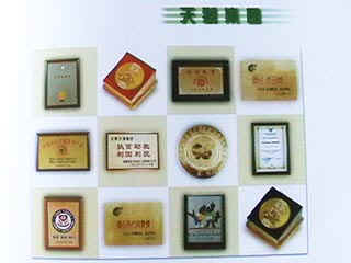 Медали и дипломы Корпорации "Тяньши" в КНР и за её пределами